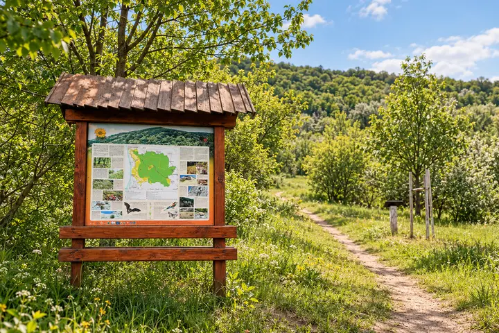 Dendropark – ilustračný obrázok